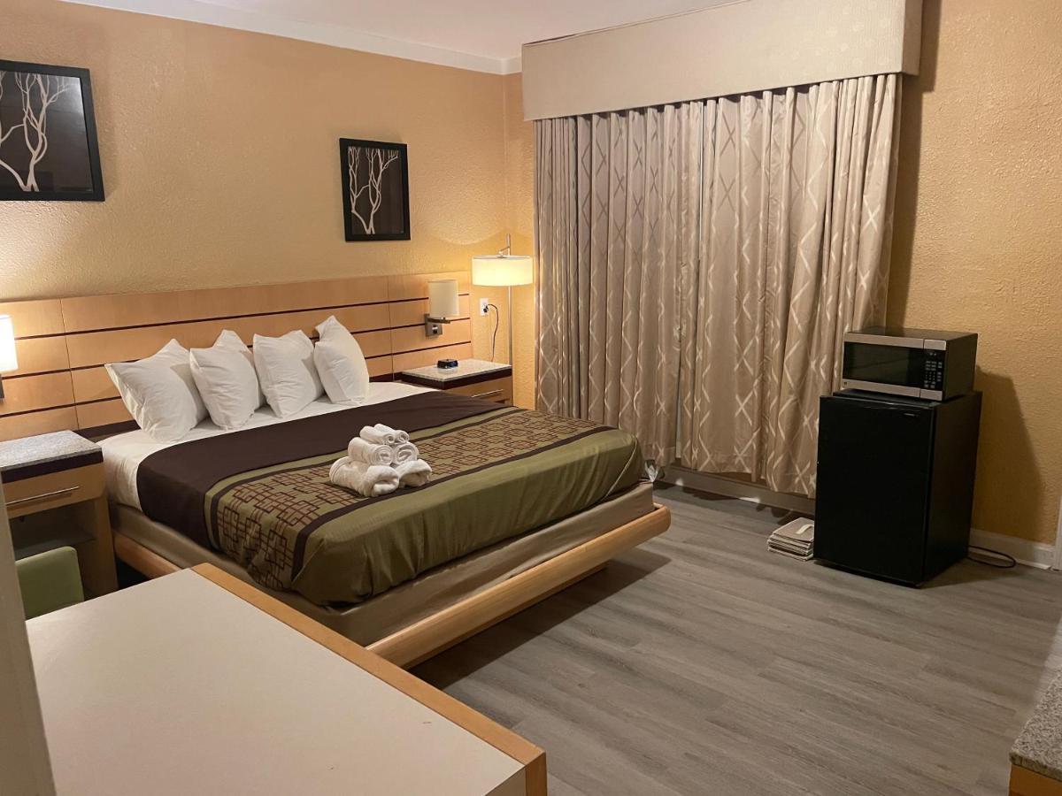 Sunburst Hotel شاطئ ميرتل المظهر الخارجي الصورة